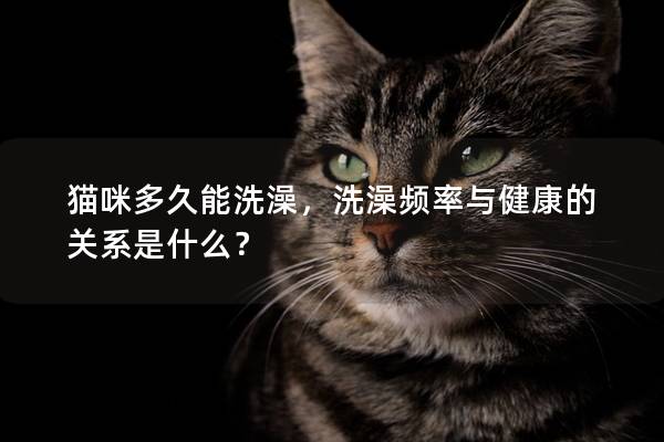 猫咪多久能洗澡，洗澡频率与健康的关系是什么？