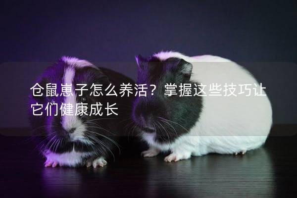 仓鼠崽子怎么养活？掌握这些技巧让它们健康成长