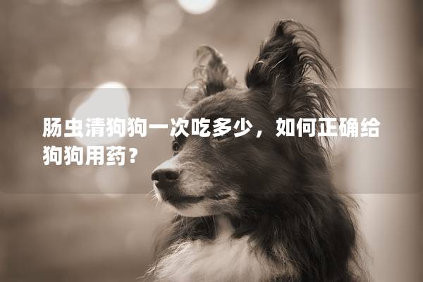 肠虫清狗狗一次吃多少,如何正确给狗狗用药? 肠虫清狗狗一次吃多少,如何正确给狗狗用药?