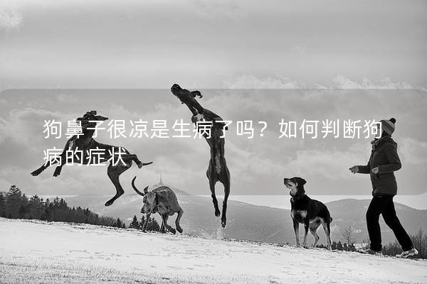 狗鼻子很凉是生病了吗?如何判断狗病的症状 狗鼻子很凉是生病了吗?如何判断狗病的症状