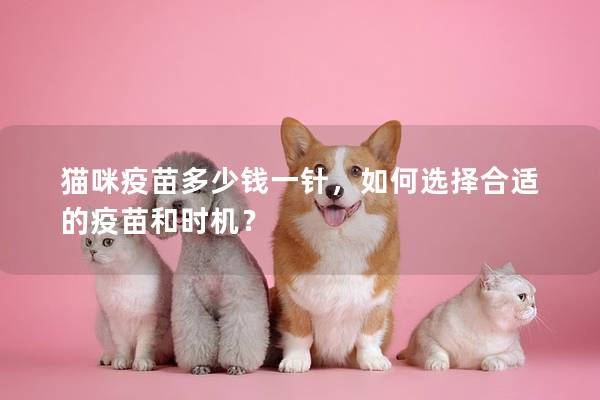 猫咪疫苗多少钱一针，如何选择合适的疫苗和时机？