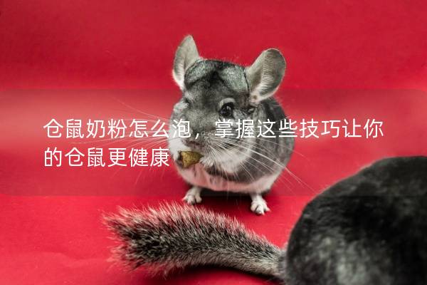 仓鼠奶粉怎么泡，掌握这些技巧让你的仓鼠更健康