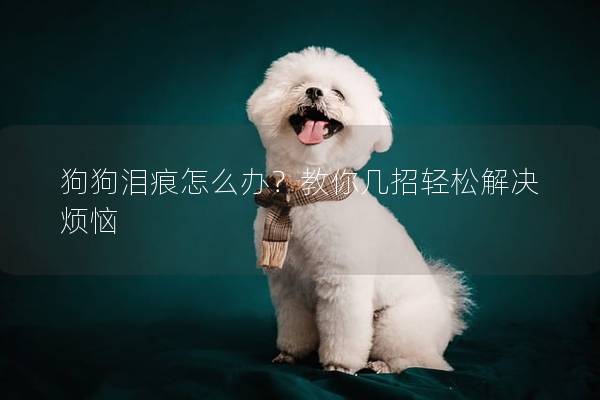 狗狗泪痕怎么办?教你几招轻松解决烦恼 狗狗泪痕怎么办?教你几招轻松解决烦恼
