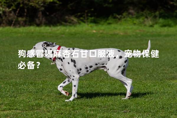 狗感冒喝麻杏石甘口服液,宠物保健必备? 狗感冒喝麻杏石甘口服液,宠物保健必备?