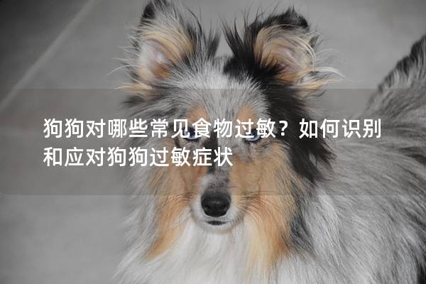 狗狗对哪些常见食物过敏？如何识别和应对狗狗过敏症状
