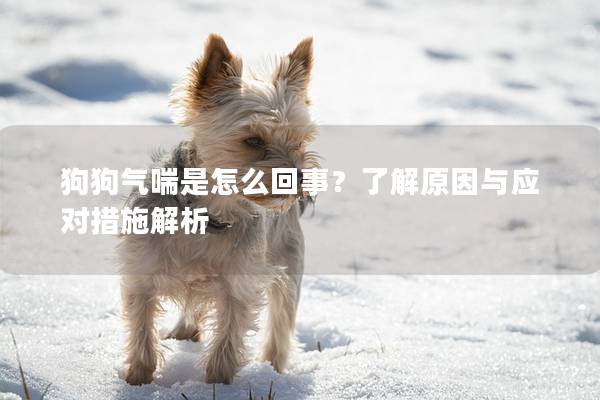 狗狗气喘是怎么回事？了解原因与应对措施解析