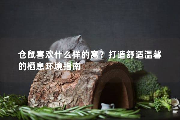 仓鼠喜欢什么样的窝？打造舒适温馨的栖息环境指南