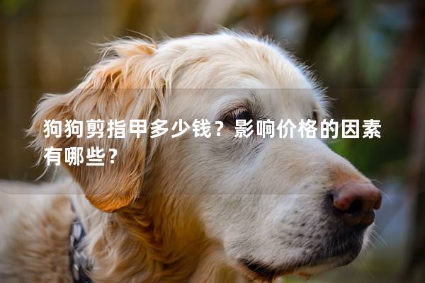 狗狗剪指甲多少钱?影响价格的因素有哪些? 狗狗剪指甲多少钱?影响价格的因素有哪些?