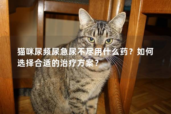 猫咪尿频尿急尿不尽用什么药？如何选择合适的治疗方案？