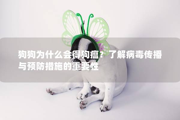 狗狗为什么会得狗瘟?了解病毒传播与预防措施的重要性 狗狗为什么会得狗瘟?了解病毒传播与预防措施的重要性