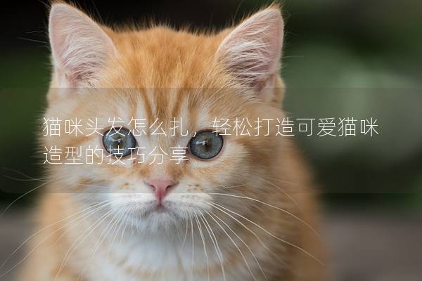 猫咪头发怎么扎，轻松打造可爱猫咪造型的技巧分享
