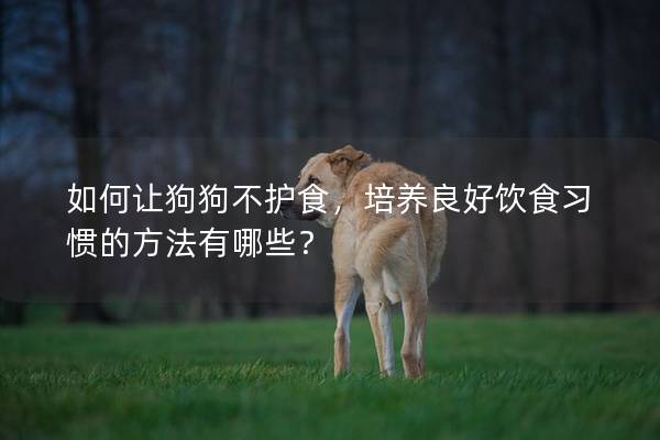 如何让狗狗不护食,培养良好饮食习惯的方法有哪些? 如何让狗狗不护食,培养良好饮食习惯的方法有哪些?