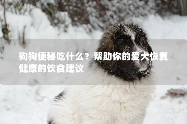 狗狗便秘吃什么?帮助你的爱犬恢复健康的饮食建议 狗狗便秘吃什么?帮助你的爱犬恢复健康的饮食建议