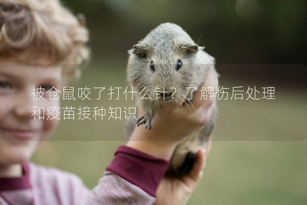 被仓鼠咬了打什么针？了解伤后处理和疫苗接种知识