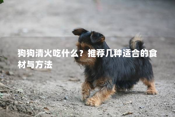狗狗清火吃什么？推荐几种适合的食材与方法