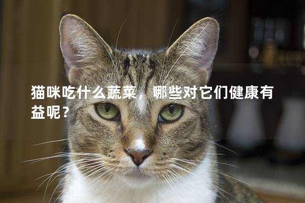 猫咪吃什么蔬菜,哪些对它们健康有益呢? 猫咪吃什么蔬菜,哪些对它们健康有益呢?