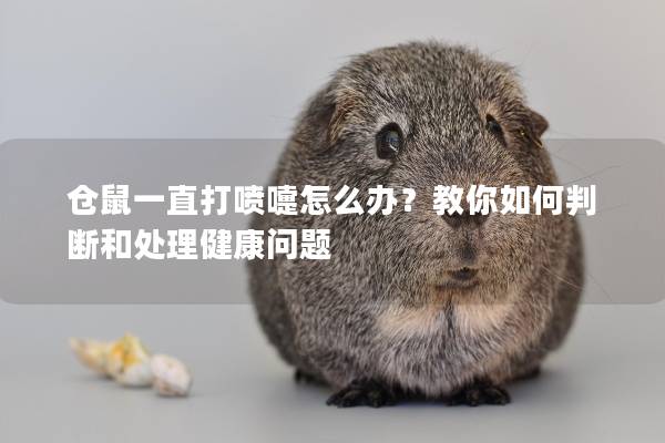 仓鼠一直打喷嚏怎么办？教你如何判断和处理健康问题