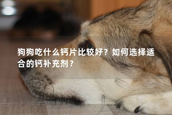 狗狗吃什么钙片比较好？如何选择适合的钙补充剂？