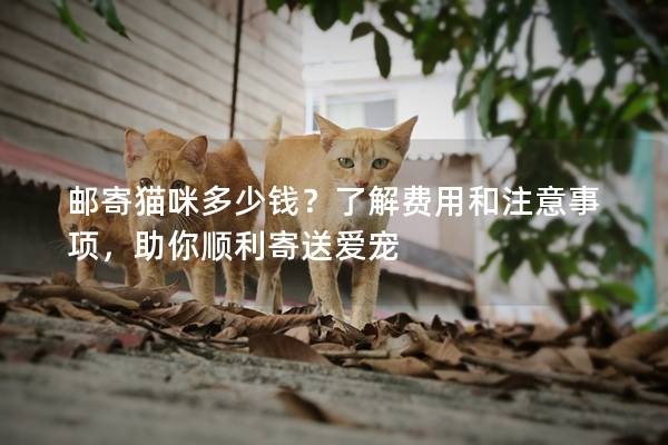 邮寄猫咪多少钱？了解费用和注意事项，助你顺利寄送爱宠