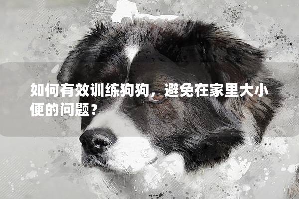 如何有效训练狗狗，避免在家里大小便的问题？