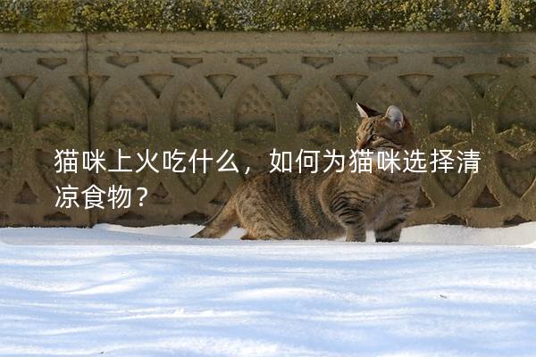 猫咪上火吃什么，如何为猫咪选择清凉食物？