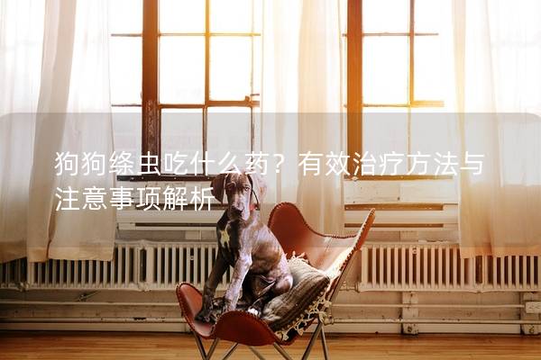 狗狗绦虫吃什么药？有效治疗方法与注意事项解析