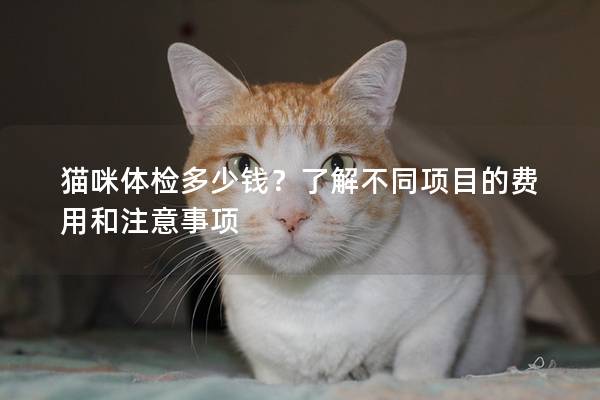 猫咪体检多少钱?了解不同项目的费用和注意事项 猫咪体检多少钱?了解不同项目的费用和注意事项
