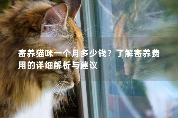 寄养猫咪一个月多少钱？了解寄养费用的详细解析与建议
