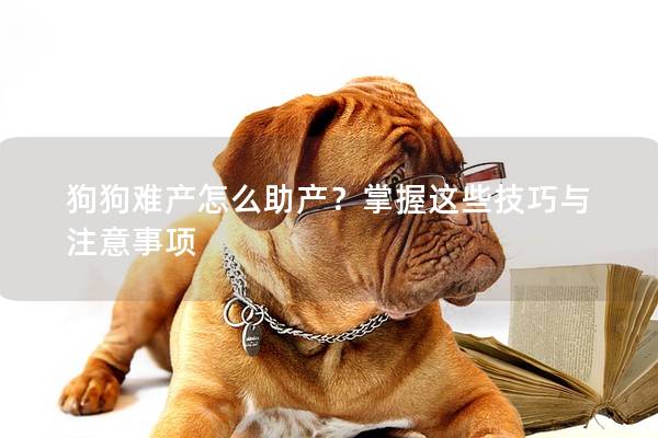 狗狗难产怎么助产？掌握这些技巧与注意事项