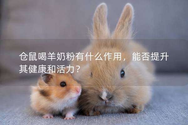 仓鼠喝羊奶粉有什么作用，能否提升其健康和活力？