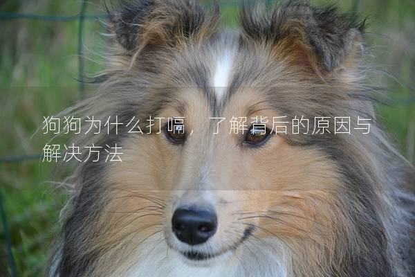 狗狗为什么打嗝，了解背后的原因与解决方法