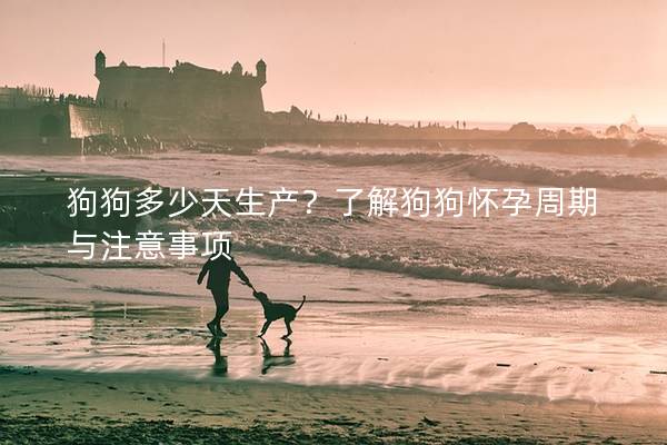 狗狗多少天生产?了解狗狗怀孕周期与注意事项 狗狗多少天生产?了解狗狗怀孕周期与注意事项