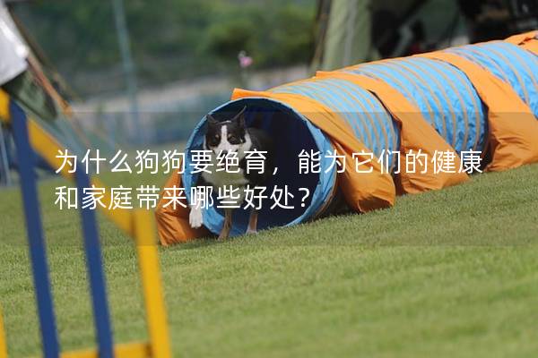 为什么狗狗要绝育，能为它们的健康和家庭带来哪些好处？