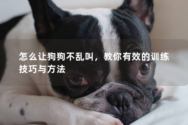 怎么让狗狗不乱叫，教你有效的训练技巧与方法