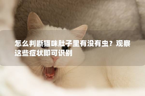怎么判断猫咪肚子里有没有虫？观察这些症状即可识别