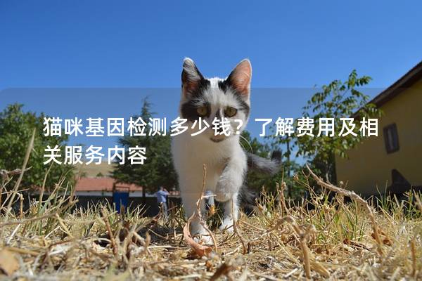猫咪基因检测多少钱?了解费用及相关服务内容 猫咪基因检测多少钱?了解费用及相关服务内容