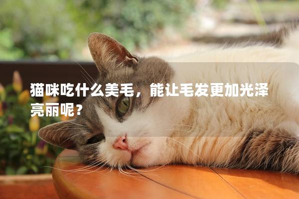 猫咪吃什么美毛,能让毛发更加光泽亮丽呢? 猫咪吃什么美毛,能让毛发更加光泽亮丽呢?