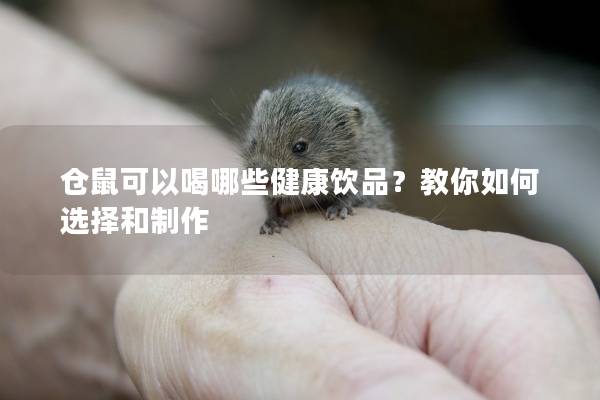 仓鼠可以喝哪些健康饮品？教你如何选择和制作