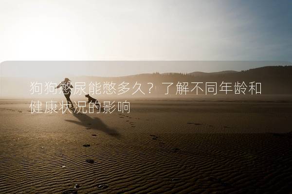 狗狗憋尿能憋多久？了解不同年龄和健康状况的影响
