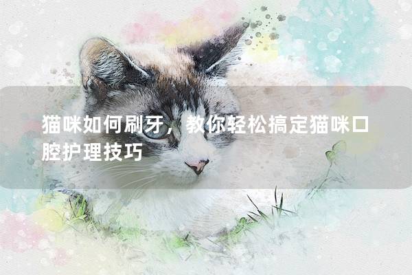 猫咪如何刷牙，教你轻松搞定猫咪口腔护理技巧