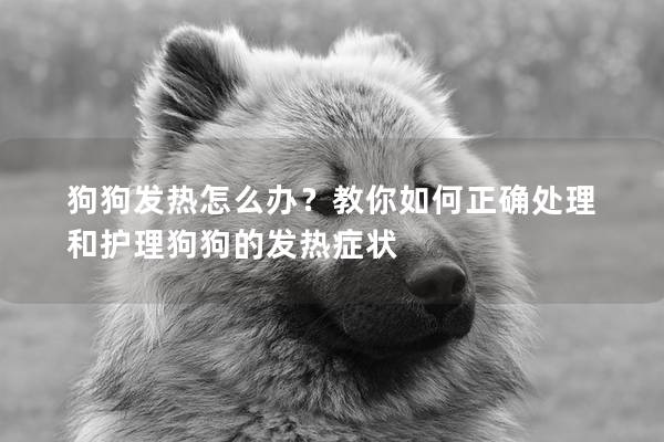 狗狗发热怎么办？教你如何正确处理和护理狗狗的发热症状