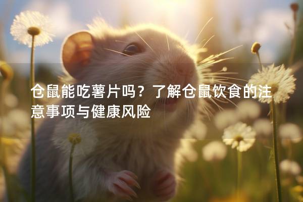 仓鼠能吃薯片吗？了解仓鼠饮食的注意事项与健康风险