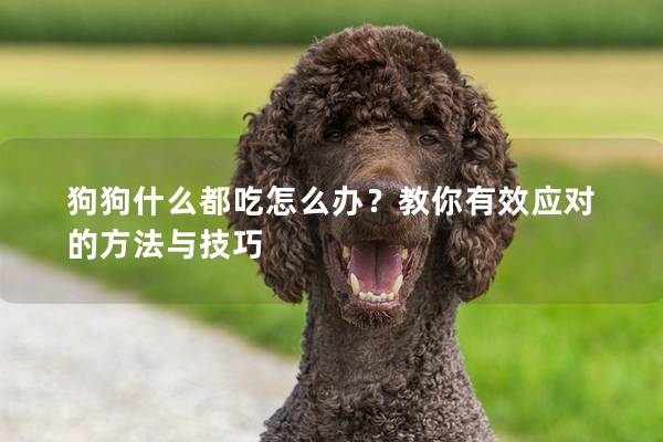狗狗什么都吃怎么办？教你有效应对的方法与技巧