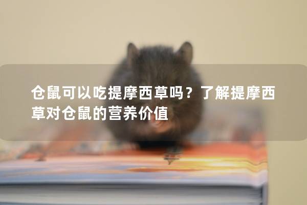 仓鼠可以吃提摩西草吗？了解提摩西草对仓鼠的营养价值