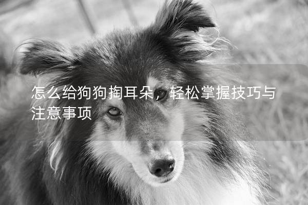 怎么给狗狗掏耳朵，轻松掌握技巧与注意事项