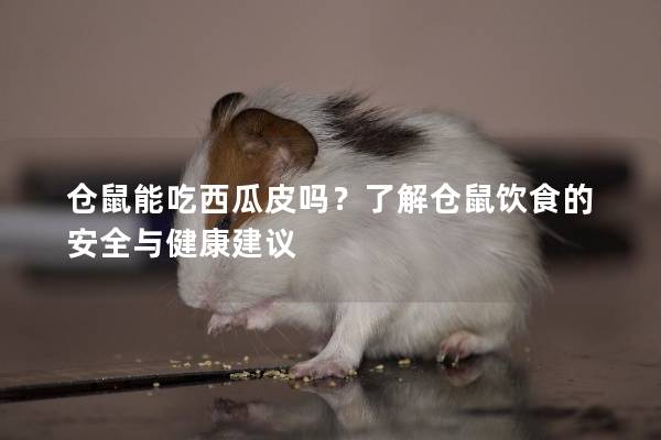 仓鼠能吃西瓜皮吗?了解仓鼠饮食的安全与健康建议 仓鼠能吃西瓜皮吗?了解仓鼠饮食的安全与健康建议