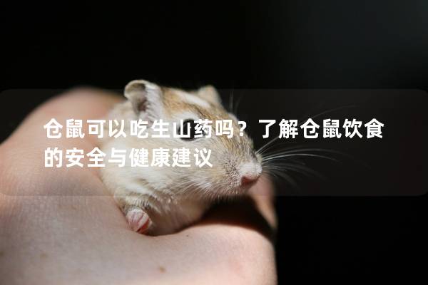 仓鼠可以吃生山药吗?了解仓鼠饮食的安全与健康建议 仓鼠可以吃生山药吗?了解仓鼠饮食的安全与健康建议