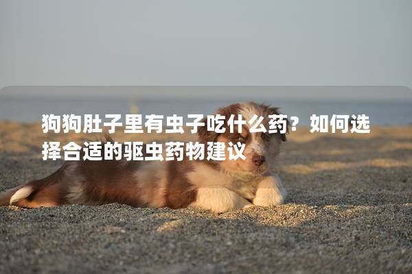 狗狗肚子里有虫子吃什么药？如何选择合适的驱虫药物建议