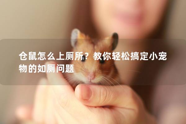 仓鼠怎么上厕所？教你轻松搞定小宠物的如厕问题