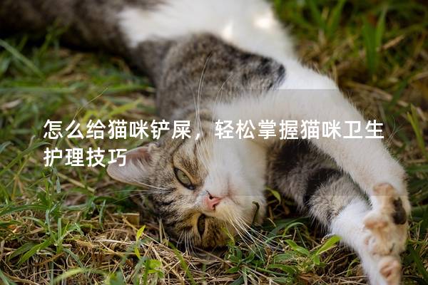 怎么给猫咪铲屎，轻松掌握猫咪卫生护理技巧